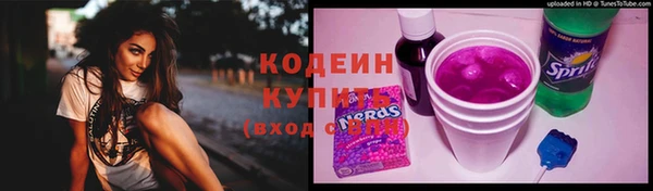гашик Алзамай