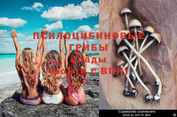 таблы Алексин