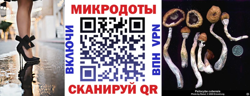 Псилоцибиновые грибы мухоморы купить закладку Приозерск