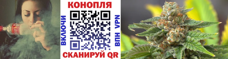 площадка телеграм Приозерск Канабис сатива